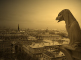 Notre Dame - Gargoyle