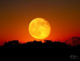 October Moon