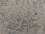 Patterns in the sand