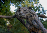 DSC_0067.jpg