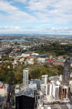 View from the Skytower