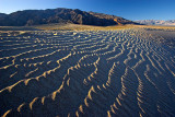Sand Dune Ripples.jpg