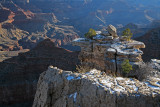 South Rim View of Grand Canyon.jpg