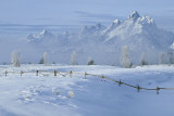 Winter at the Grand Teton.jpg