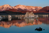 Dawn Reflections at Mono Lake.jpg