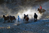 Horse Roundup_1378.jpg