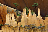 Bryce Hodoos in Early Morning.jpg