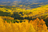 Colorado Hillsides in Autumn.jpg
