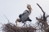 Pair portrait