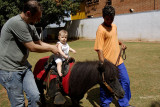 Meu primeiro poney