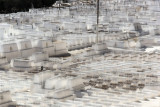 Jew cemetery