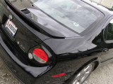 Striderized Maxima LG.jpg