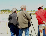 The Piping Plovers have 3 juvies that are being watched 24/7 by volunteers.