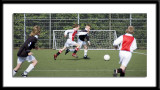 DSC_0642-wfs.jpg