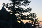 Trail Ridge Road Sunrise