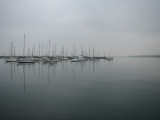 Grey Harbor.jpg