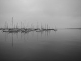 BW Harbor.jpg