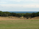 Chilmark View.jpg