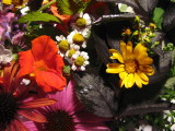 Flower Collage.jpg