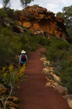 Flinders Ranges Sep 05 005