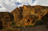 Flinders Ranges Sep 05 019