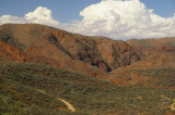 Flinders Ranges Sep 05 033
