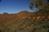 Flinders Ranges Sep 05 048