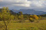 Flinders Ranges Sep 05 067