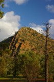Flinders Ranges Sep 05 071