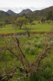 Flinders Ranges Sep 05 090