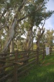 Flinders Ranges Sep 05 091