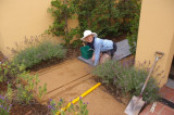 Laying Pavers Xmas 2006 001