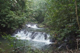 Stream