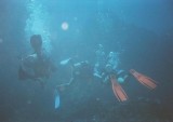 divers