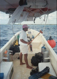Manta Raya
