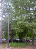 HPIM2685.jpg