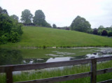 HPIM2705.jpg