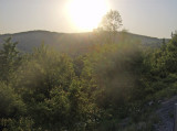 HPIM2947.jpg