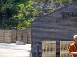 HPIM3142.jpg