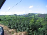 IMG_0452.JPG
