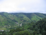 IMG_0477.JPG