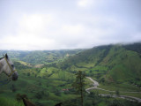 IMG_0478.JPG