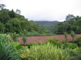 IMG_0482.JPG