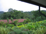 IMG_0483.JPG