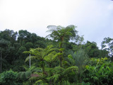 IMG_0488.JPG