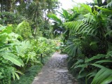 IMG_0492.JPG