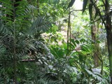 IMG_0497.JPG