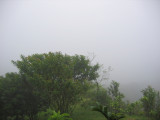 IMG_0522.JPG