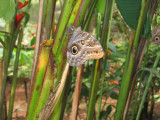 IMG_0585.JPG