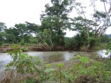 IMG_0657.JPG